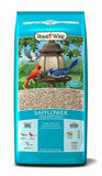 Royal Wing RWSAF-1 Animals and Pet Supplies 7 Pounds Safflower Wild Bird Food