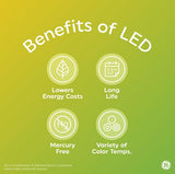 Savant 93129711 GE LED Bug Light Bulb 100 Watt Replacement Outdoor Rated 1 Pack