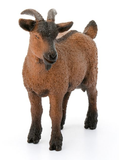 Schleich 13828 Domestic Goat Toy Figurine