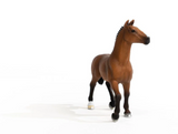 Schleich 13945 Wildlife Oldenbuger Mare Toy Figurine