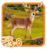 Schleich 14818 Wildlife Animal White-Tailed Buck Toy Figurine