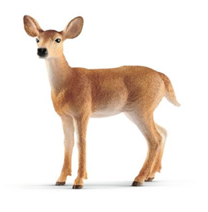 Schleich 14819 Educational White-Tailed Doe Figurine