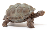 Schleich 14824 Giant Tortoise Toy Figurine