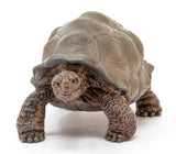 Schleich 14824 Giant Tortoise Toy Figurine for Ages 3 years and up