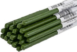 Gardener's Blue Ribbon ST4-WS Sturdy Garden Stake 4 ft. Plastic Green