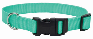 Retriever Adjustable Dog Collar with Plastic Buckle,  5/8 x 10-14in, Teal