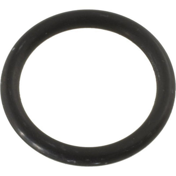 Waterway 805-0116EP Adapter O-Ring for ClearWater Cartri