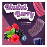 Wiley Wallaby 121304 Gourmet Blasted Berry Licorice Soft & Chewy 7.05 oz.