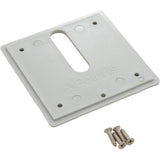 Zodiac MJ6320 Jandy Pro Series Minijet Cover Plate with Screws - Dove Gray