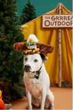 BARK 214504 Majestic Marty Dog Toy, Squeaky, Polyester, All Life Stages