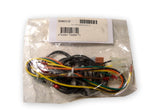 Raypak 004011F Wire Harness MV