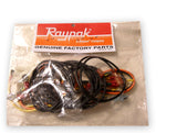 Raypak 004011F Wire Harness MV