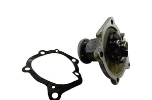 LAZORLITE L31-1006 Water Pump Assembly