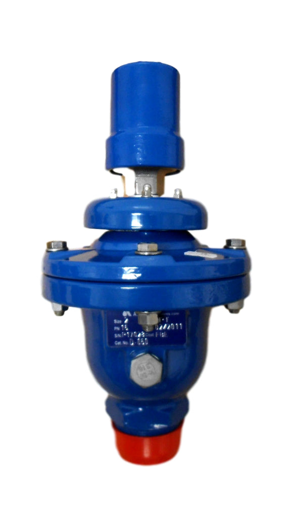 A.R.I. D-060-CHFT Combination Air Valve 2in NPT