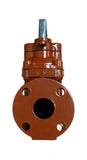 Matco-Norca Inc 200W AWWA C509 2" Flanged Cast Iron Gate Valve