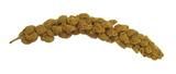 Brown's 42398 Extreme! Natural Millet Spray Bird Treat, 7 oz.