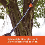 Black & Decker LPP120 8 in. 20V Cordless MAX Lithium-Ion Pole Pruning Saw Kit