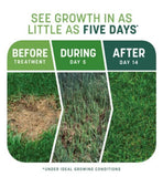 Pennington 100545665 Smart Patch Tall Fescue Lawn Repair Mix 10 lb. Bag