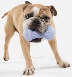 BARK 214516 Flungi Dog Toy, Durable, Squeaky, Rubber, All Life Stages