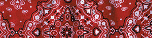 Balboa DC106 100% Cotton Cooldanna - Red Paisley