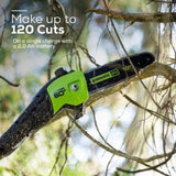 Greenworks PRO 10 in. 60V Battery Cordless Pole Saw with 2.0 Ah Battery and Charger