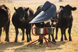 Tarter TMF Twister Mineral Feeder, 1 3-4 in. Steel Legs