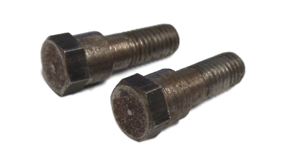 Borg Warner N7900 Bolt Nut Set of Two (2 ct)