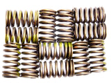 Sealed Power VS-868 Engine Valve Spring kit of 12