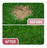 Pennington 100550681 Smart Patch Zenith Zoysia Mix 5 lb. Bag