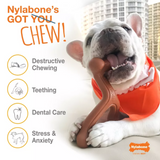 Nylabone Power Chew Braided Bully Stick Alternative Chew Toy Large/Giant - Up to 50 lbs.
