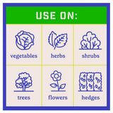 Pennington 100546846 Rejuvenate Organic and Natural All Purpose Plant Food Fertilizer, Feeds 4 Months, 4 lb.