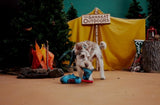 BARK 214509 Appalachian Tail Boots Dog Toy, Polyester, Squeaky, All Life Stages