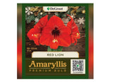 DeGroot DGFA0200 Premium Amaryllis 'Red Lion' Flower Bulb