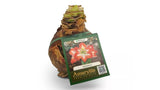 DeGroot DGFA0300 Premium Amaryllis 'Minerva' Flower Bulb