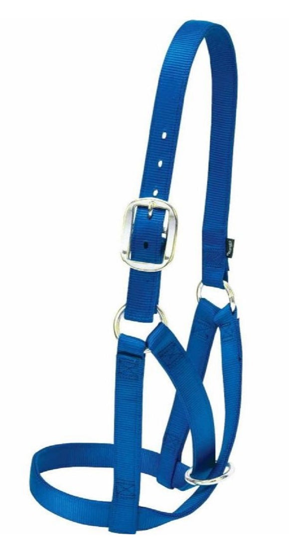 Weaver Leather T-35-8004-BL Criss-cross Barn Cow Halter, Nylon Blue - Medium