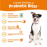 Zesty Paws Probiotic Bites, Pumpkin, 30 ct.