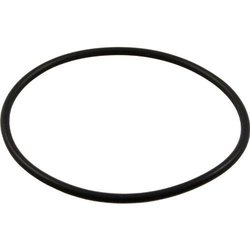 Pentair 192320 O-Ring Bulkhead for Pool or Spa Filter