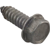 Pentair U30-918SS 5/16-14 x 1" Screw for Pentair Sta-Rite Max-E-Pro Pool Pump